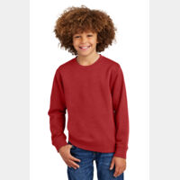 Youth V.I.T. Fleece Crew Thumbnail