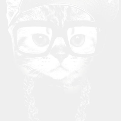 Brooklyn Cat Thumbnail